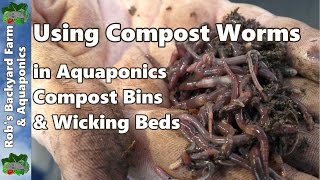 Using compost worms around the yard Wicking worm beds Aquaponics amp compost [upl. by Ainehs214]