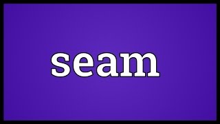 Seam Meaning [upl. by Anayrb]