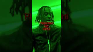 Playboi Carti Copied THESE Lyrics For Sky 😳🔥 [upl. by Carena140]