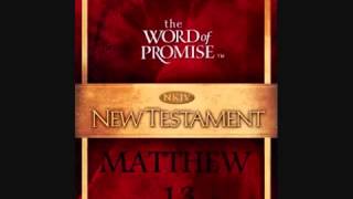 The Gospel of Matthew [upl. by Twitt]