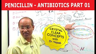 Penicillin  Antibiotics  Dr Najeeb  Part 14 [upl. by Ezarras]