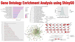 Gene Ontology Enrichment Analysis using ShinyGO an R Shiny Server [upl. by Akahs12]