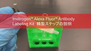 Alexa Fluor Antibody Labeling Kit 精製ステップの説明 [upl. by Yziar]