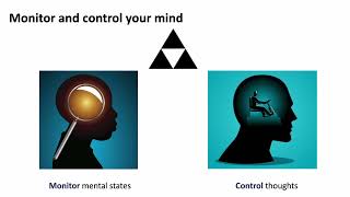 Metacognitive Skill  the science of improving your mind [upl. by Esele777]