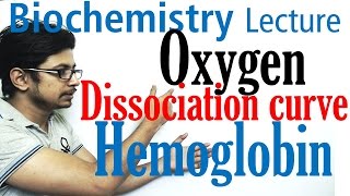 Oxygen hemoglobin dissociation curve explained [upl. by Rubenstein419]