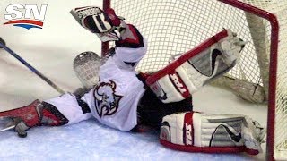 quotThe Dominatorquot Dominik Hasek Career Highlights [upl. by Sev]