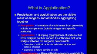 Immunology Module 2 Antigens Antibodies and Agglutination [upl. by Lapointe]