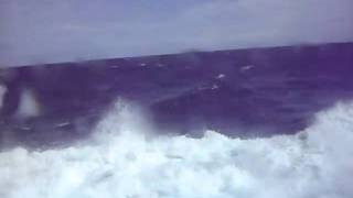 2 to 3 Metre seas outside our porthole [upl. by Alyahs]