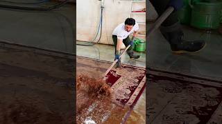 Flooded Rug Heavy With Mud  Satisfying Video  shorts [upl. by Fisuoy]