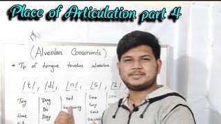 Alveolar consonant sounds in English [upl. by Johnathan]