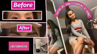 REFECTOCIL eyebrows tint at home practicemakesperfect 🤎 [upl. by Teryl]