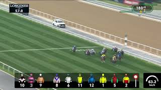 Al Quoz Sprint Sponsored by AZIZI Developments – California Spangle – Dubai World Cup 2024 [upl. by Ronnoc]