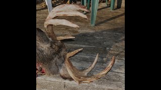 Martins 23 Deer Season Review [upl. by Merwyn]