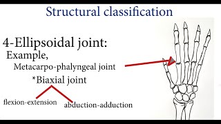 Joints  Classification of Joints  Synovial Joints  Fibrous Joints  Cartilaginous Joints  MBBS [upl. by Arbba]