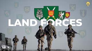 Combat Units Of Lithuanias Land Forces [upl. by Haleigh]