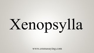 How To Say Xenopsylla [upl. by Portingale]