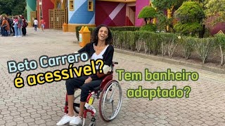 CADEIRANTE no Beto Carrero  É ACESSÍVEL  tem ACESSIBILIDADE [upl. by Ydneh]