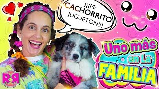 UNO MÁS en la FAMILA 🐶 TAG de la MASCOTA NUEVO MIEMBRO revoltoso 🐕 Perritos cachorros YOUTUBERS [upl. by Ignatz]