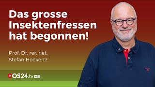 Chitinase – Die Grosse Gefahr beim Insektenfrass  Prof Dr rer nat Stefan Hockertz  QS24 [upl. by Ialokin]