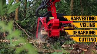 Hydraulic Excavator Cat® 313D2 LGP dengan Harvester Head TrakindoUtama [upl. by Ludlew]