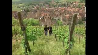 Discover the Wines of Alsace [upl. by Dowell]