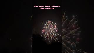 Blue Danube Waltz amp Firework In Lower Austria 🇦🇹 shorts [upl. by Liemaj]