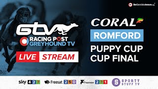 Coral Romford Puppy Cup Final  Live Greyhound Racing [upl. by Esch548]