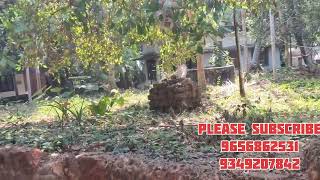 19 cent plot old house for sale at Kozhikode chelannur puthiyedathuthayam [upl. by Kcirdec842]