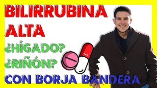 BILIRRUBINA ALTA 💉💉 Qué es causas directa indirecta total  Con BORJA BANDERA 4 [upl. by Assirim]