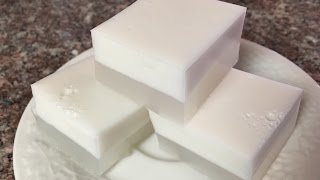 Easy Asian Coconut Jello Recipe Updated Video [upl. by Hartnett]