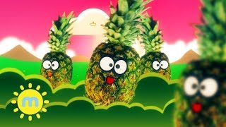 Weebls  Fruit Song  Animated Music Video  Songs  milkshake [upl. by Brinn]