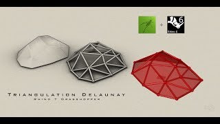 Grasshopper 004 Triangulation Delaunay [upl. by Irbmac4]