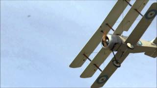 Great War Fighter Aircraft Display [upl. by Malka]