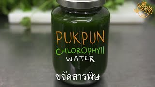 CHLOROPHYLL WATER 4 DAYS [upl. by Rehpinej]