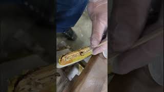 Repairing a torn out insert on Furniture [upl. by Bounds]