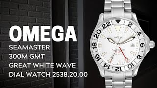 Omega Seamaster 300M GMT Great White Wave Dial Watch 25382000 Review  SwissWatchExpo [upl. by Aneeras]