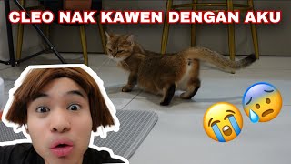 CLEO NAK KAWEN DENGAN AKU😭😰‼️ [upl. by Nile112]