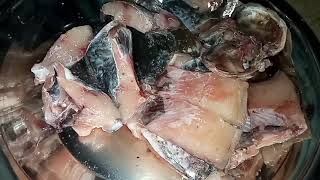 Fish Marination Recipesadivlog [upl. by Richman]