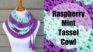 How To Crochet the Raspberry Mint Tassel Cowl [upl. by Anelra]