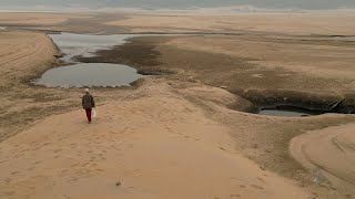 Baixo Madeira sofre com a seca Peixes e plantas estão morrendo [upl. by Ceevah23]