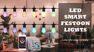 Outdoor LED Smart Festoon Lights RGB App Controlled Colour Changing WFFL01 [upl. by Enyaht459]