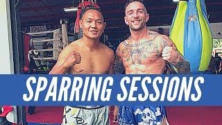 SPARRING WITH THE GOAT  Saenchai vs Liam Harrison Play Sparring Compilation  Muay Thai [upl. by Frye]