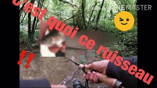 Pêche de la truite dans un ruisseau bizarre [upl. by Gnous]