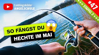 HECHTANGELN im Frühjahr  so fängst du vom UFER 🎣🔥👍🏼 [upl. by Stanislaw]