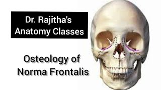 Osteology of Norma Frontalis by Dr Rajitha Vanga [upl. by Adria]