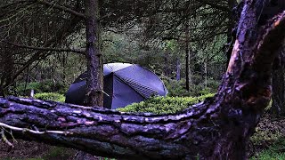 Wild Camping Alone in a Remote Forest  North Yorkshire Moors National Park [upl. by Lerud]