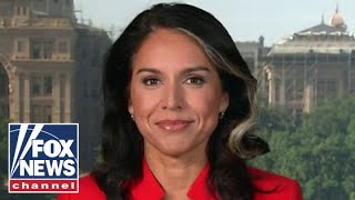 Tulsi Gabbard Democrats dont really care about Biden [upl. by Nafets]