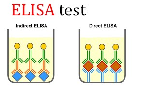 ELISA test [upl. by Ogilvy]