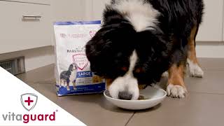 Harringtons Advanced Science Large Breed Dog Food [upl. by Atsahc567]