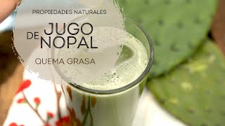 Cómo usar el jugo de nopal para quemar grasa [upl. by Nicolette]